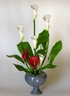 White and red Callas [ref. 128]