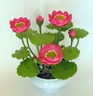 Pink Lotus [ref. 110]