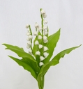 Lily of the Valley [ref. 220]