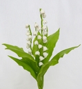 Muguet [ref. 220]