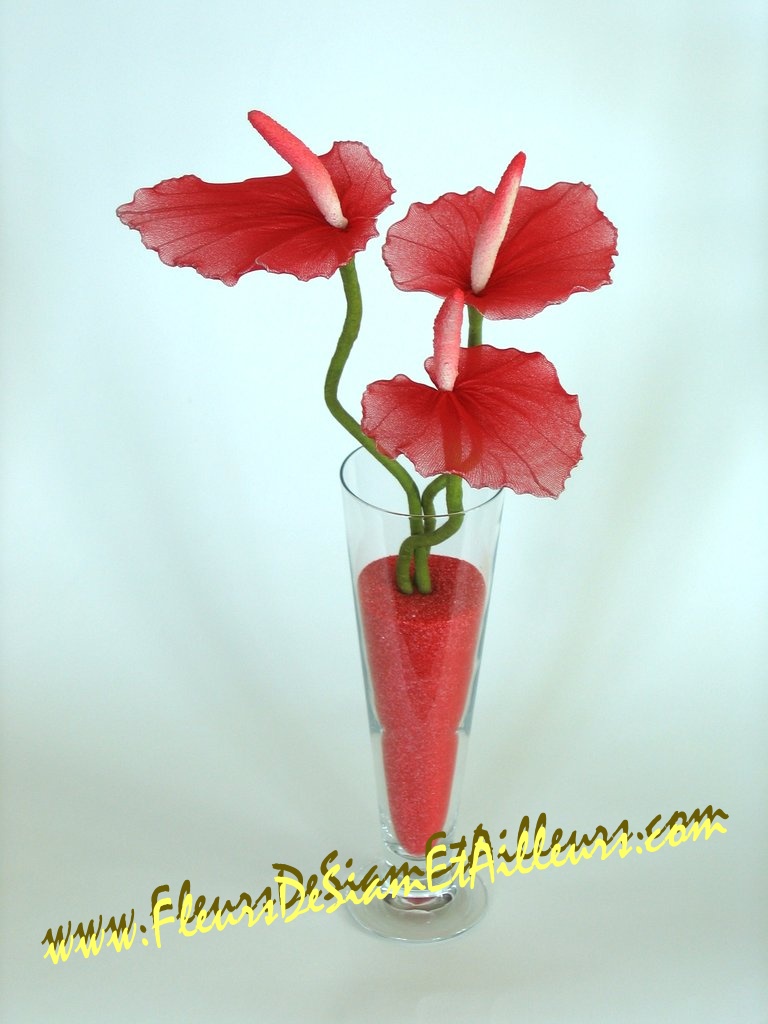 3 Anthuriums