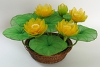 5 Lotus jaunes [ref. 81]