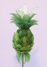 Ananas [ref. 192]