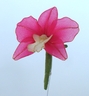 Brooch with Cattleya Orchid [ref. 58]