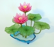 2 Lotus roses [ref. 31]