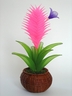 Tillandsia Cyanea [ref. 10]