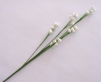 Tige avec petites fleurs, blanches