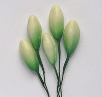 Lily Bud XS, White