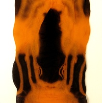 Orange and Black Stocking