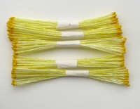 Yellow Stamen