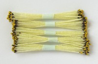 Brown/Yellow Stamen