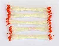 Orange Stamen