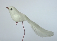 Oiseau blanc, petit