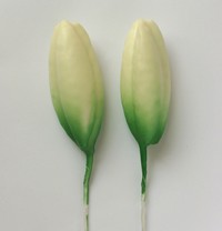 Lily Bud L, Green/White