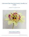 Fabrication d'une fleur de la Passion / Passiflore en collant Fleur de la Passion / Passiflore