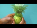 Fabrication d'un ananas en collant Ananas