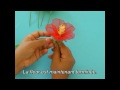 Fabrication d'un hibiscus en collant Hibiscus (part. 2)